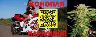 прущие крисы Будённовск