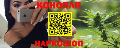 прущие крисы Будённовск