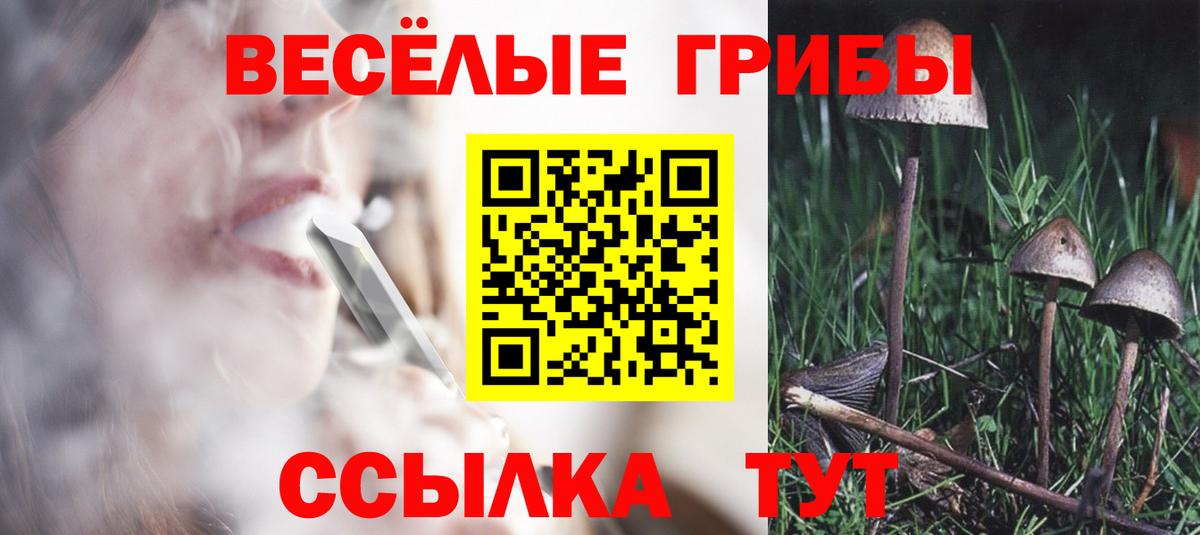 Псилоцибиновые грибы Cubensis  купить закладку  Семилуки  Псилоцибиновые грибы мицелий  Вход с VPN 
